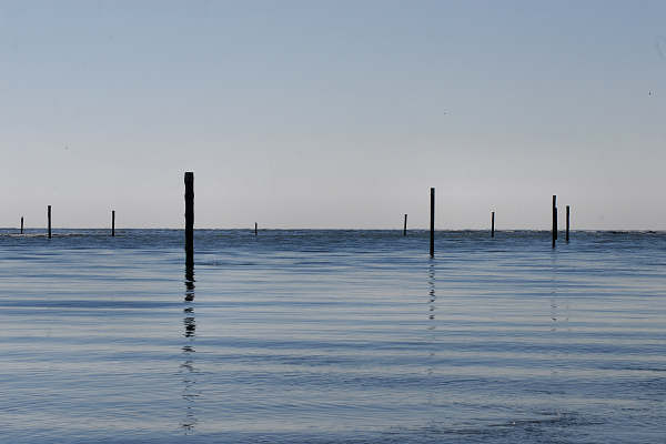 oasi naturalistica Valle Vecchia di VenetoAgricoltura a Caorle
