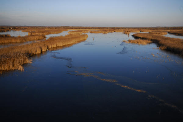 oasi naturalistica Valle Vecchia di VenetoAgricoltura a Caorle
