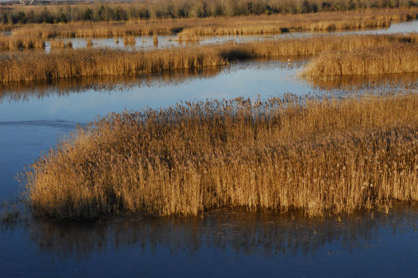 oasi naturalistica Valle Vecchia di VenetoAgricoltura a Caorle