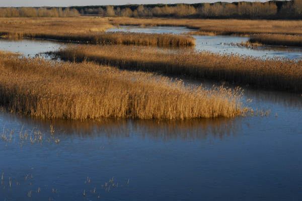 oasi naturalistica Valle Vecchia di VenetoAgricoltura a Caorle