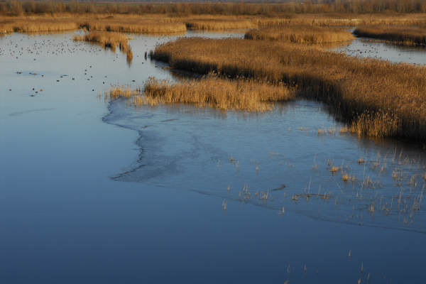 oasi naturalistica Valle Vecchia di VenetoAgricoltura a Caorle