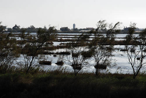 Treporti, Lio Piccolo - laguna nord di Venezia