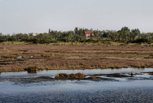 Treporti, Lio Piccolo - laguna nord di Venezia