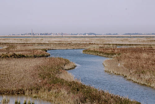 Treporti, Lio Piccolo - laguna nord di Venezia