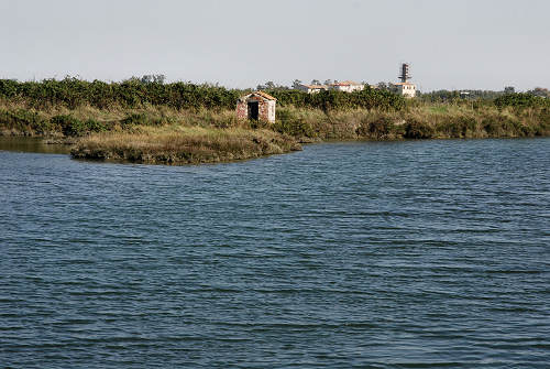 Treporti, Lio Piccolo - laguna nord di Venezia