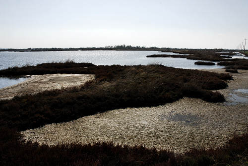 Treporti, Lio Piccolo - laguna nord di Venezia