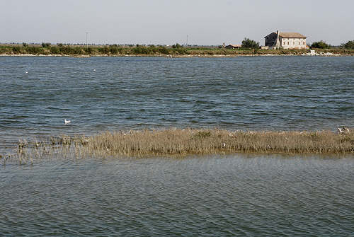 Treporti, Lio Piccolo - laguna nord di Venezia