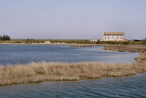 Treporti, Lio Piccolo - laguna nord di Venezia