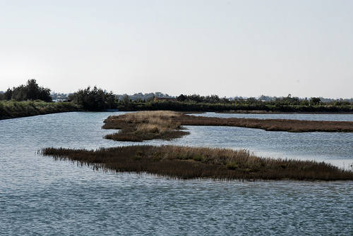 Treporti, Lio Piccolo - laguna nord di Venezia
