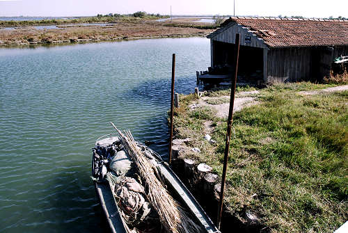 Treporti, Lio Piccolo - laguna nord di Venezia