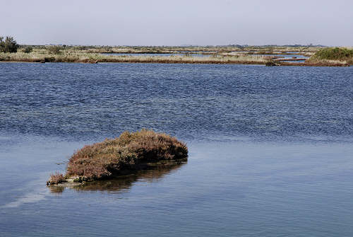 Treporti, Lio Piccolo - laguna nord di Venezia