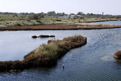 Treporti, Lio Piccolo - laguna nord di Venezia