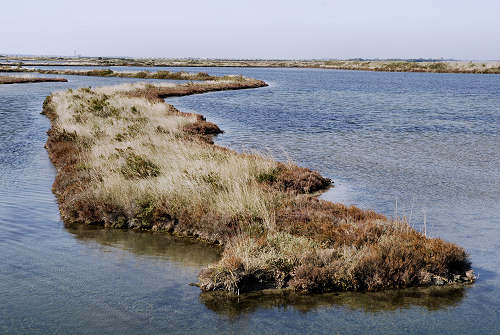 Treporti, Lio Piccolo - laguna nord di Venezia