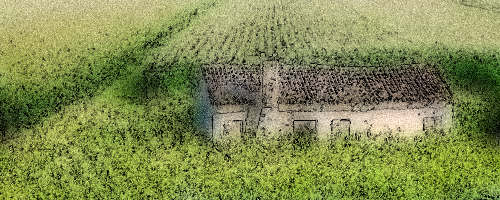 la campagna polesana e il fiume argine a Cavarzere