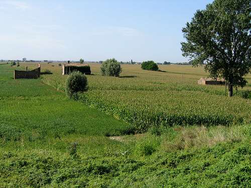 la campagna polesana e il fiume argine a Cavarzere