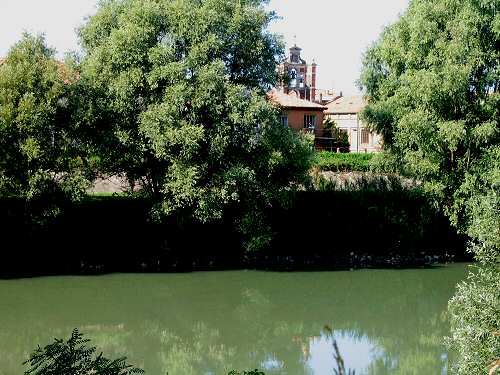 la campagna polesana e il fiume argine a Cavarzere