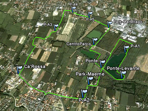 Parco Laghetti di Martellago, Maerne, Olmo