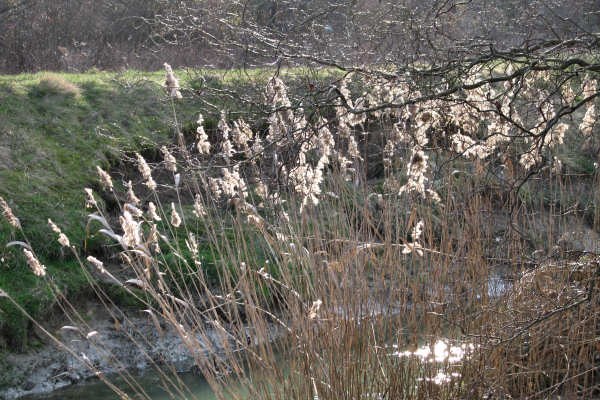 Martellago Maerne Olmo, parco laghetti ex cave