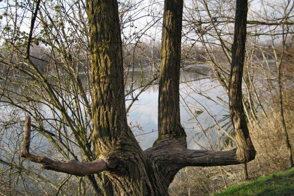 Martellago Maerne Olmo, parco laghetti ex cave