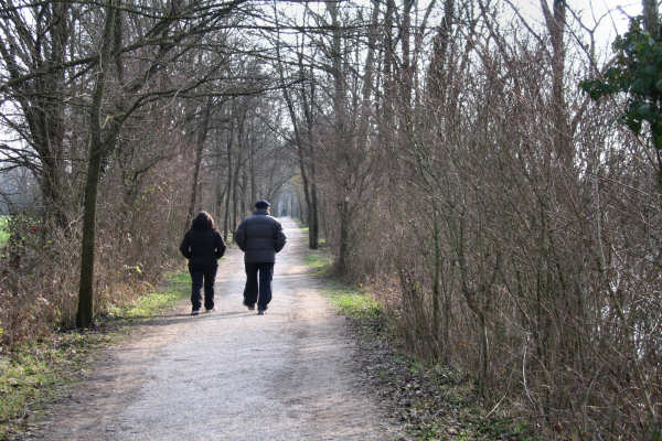 Martellago Maerne Olmo, parco laghetti ex cave