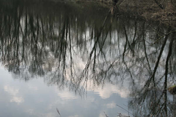 Martellago Maerne Olmo, parco laghetti ex cave