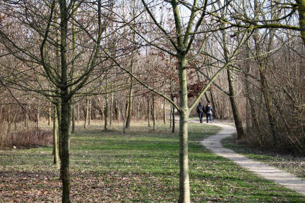 Martellago Maerne Olmo, parco laghetti ex cave
