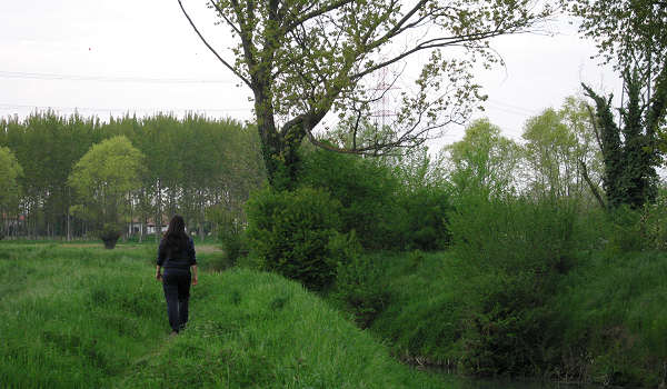 Martellago, lungo il fiume Dese