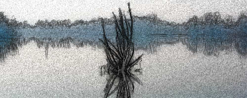 Mirano, Bosco del Parauro