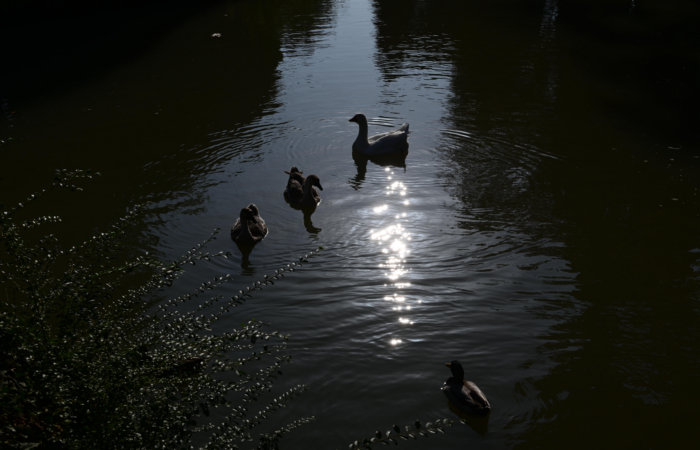 Rocca dei Tempesta o Rocca Malatesta a Noale, entroterra veneziano