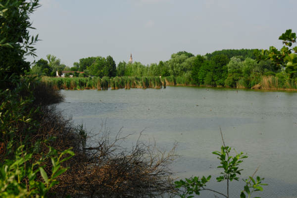 Oasi Wwf delle Cave di Noale