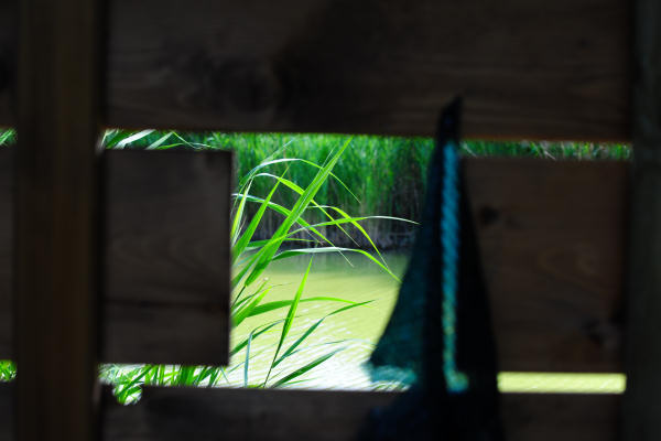 Oasi Wwf delle Cave di Noale