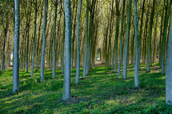Portogruaro e il Veneto Orientale, giro cicloturistico Lemene Reghena