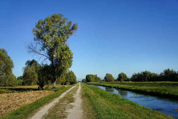 Portogruaro e il Veneto Orientale, giro cicloturistico Lemene Reghena