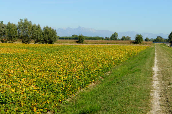 Portogruaro e il Veneto Orientale, giro cicloturistico Lemene Reghena