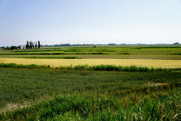 Quarto d'Altino, pista ciclabile fiume Zero, Altino, Trepalade, Sile