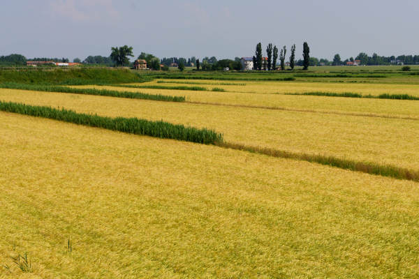 Quarto d'Altino, pista ciclabile fiume Zero, Altino, Trepalade, Sile