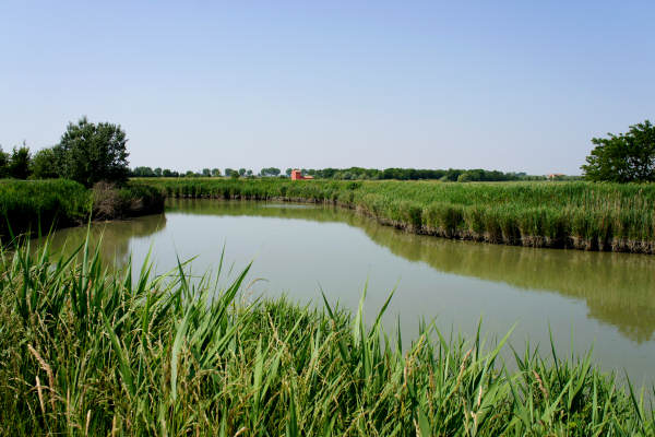 Quarto d'Altino, pista ciclabile fiume Zero, Altino, Trepalade, Sile