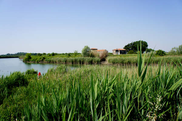 Quarto d'Altino, pista ciclabile fiume Zero, Altino, Trepalade, Sile
