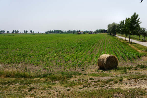 Quarto d'Altino, pista ciclabile fiume Zero, Altino, Trepalade, Sile