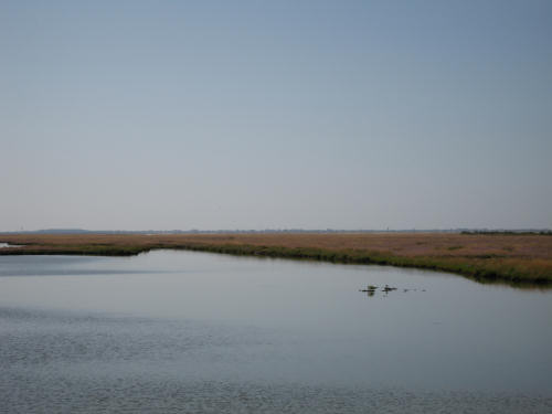 Portegrandi di Quarto d'Altino - taglio del Sile, laguna nord di Venezia