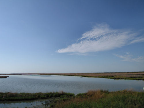 Portegrandi di Quarto d'Altino - taglio del Sile, laguna nord di Venezia