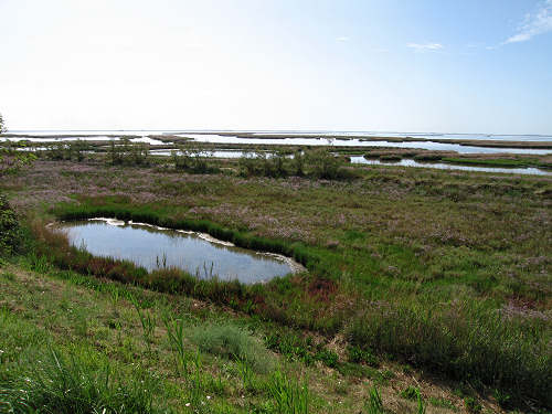Portegrandi di Quarto d'Altino - taglio del Sile, laguna nord di Venezia