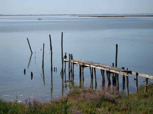 Portegrandi di Quarto d'Altino - taglio del Sile, laguna nord di Venezia
