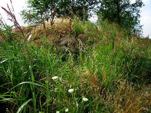 Batteria dei Murazzi - Sottomarina di Chioggia - Venezia