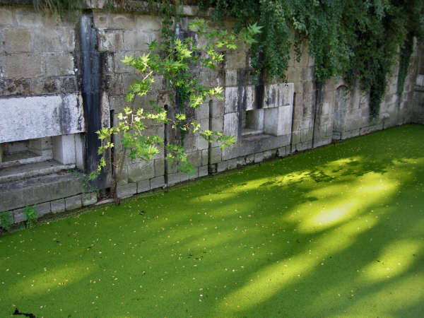 Forte Tron a Venezia-Marghera