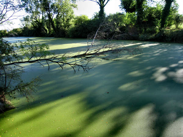 Forte Tron a Venezia-Marghera
