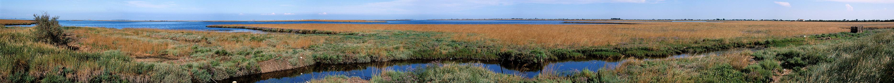 Laguna di Venezia, valle Millecampi