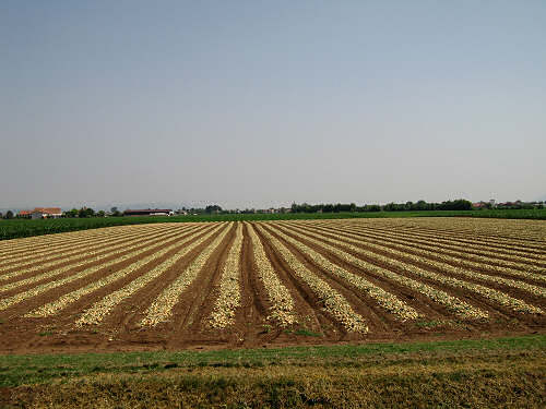 Verona, cicloturismo negli argini del fiume Adige