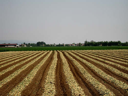 Verona, cicloturismo negli argini del fiume Adige