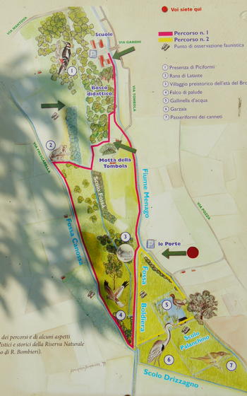 Cerea (Verona), oasi naturalistica Riserva Naturale Palude di Brusà